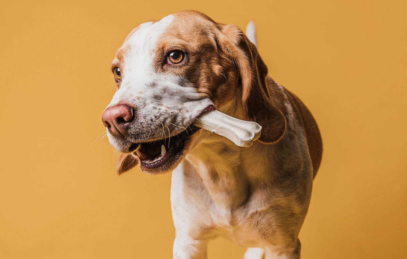 At risus pretium urna tortor metus fringilla tortor fringilla metus At risus pretium urna tortor metus fringilla tortor fringilla metus