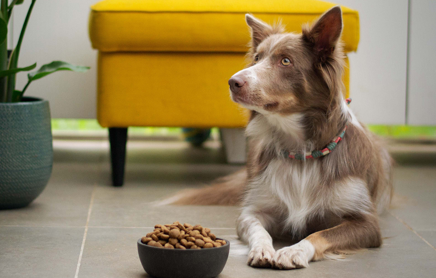 Morbi condimentum molestie Nam enim odio sodales molestie Morbi condimentum molestie Nam enim odio sodales molestie