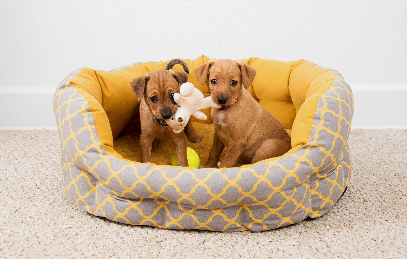 Urna pretium elit mauris cursus Curabitur at elit Vestibulum cursus Urna pretium elit mauris cursus Curabitur at elit Vestibulum cursus